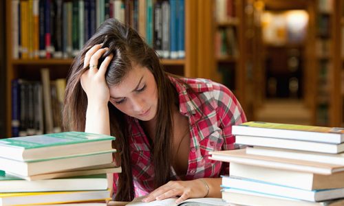 Writers Boot Camp Certification Program
